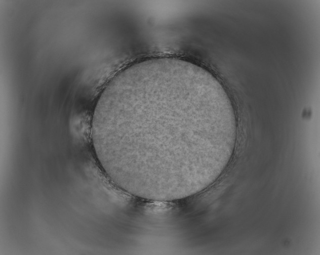 X0000116300672200912141336