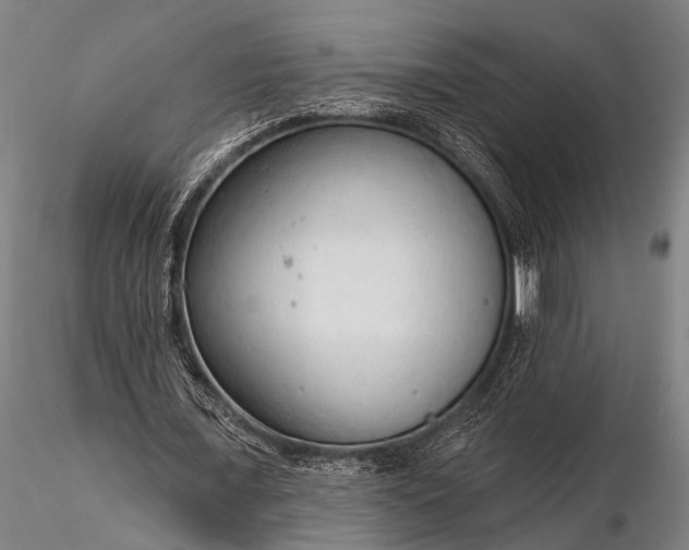 X0000116300675200912141335