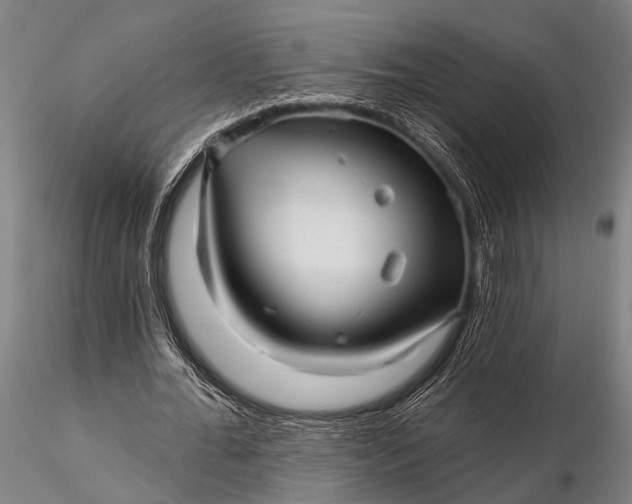 X0000116300676200912141335