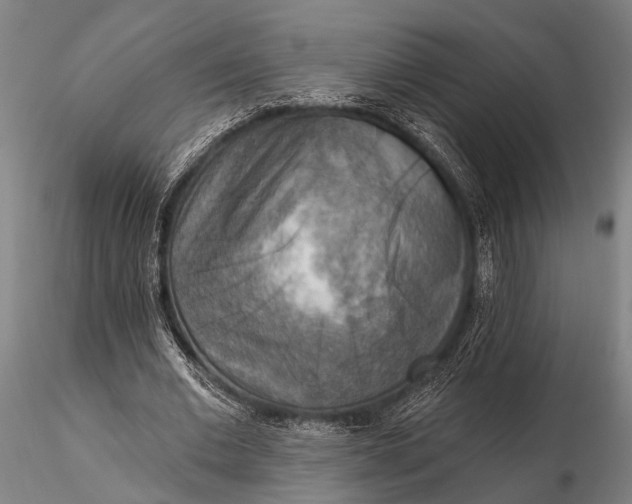 X0000116300677200912141335