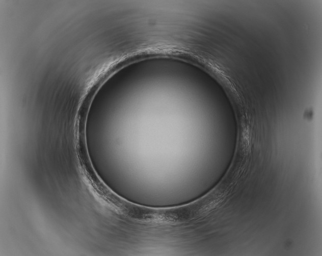 X0000116300678200912141335