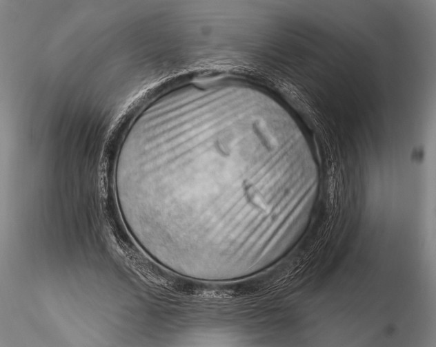 X0000116300680200912141335