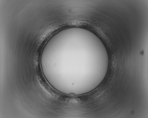 X0000116300683200912141335