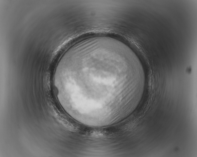 X0000116300684200912141335