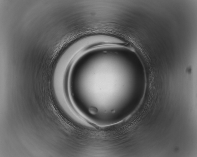 X0000116300685200912141335