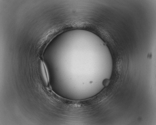 X0000116300687200912141335