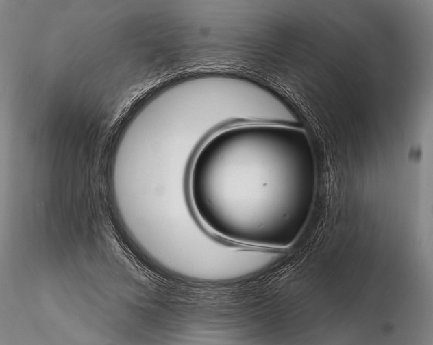 X0000116300688200912141335