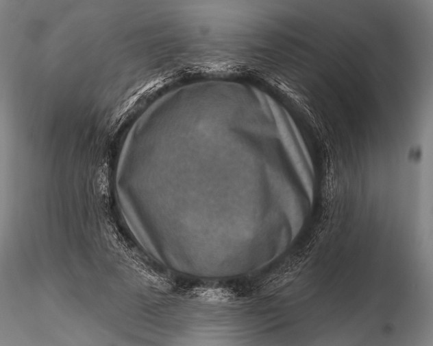 X0000116300689200912141335