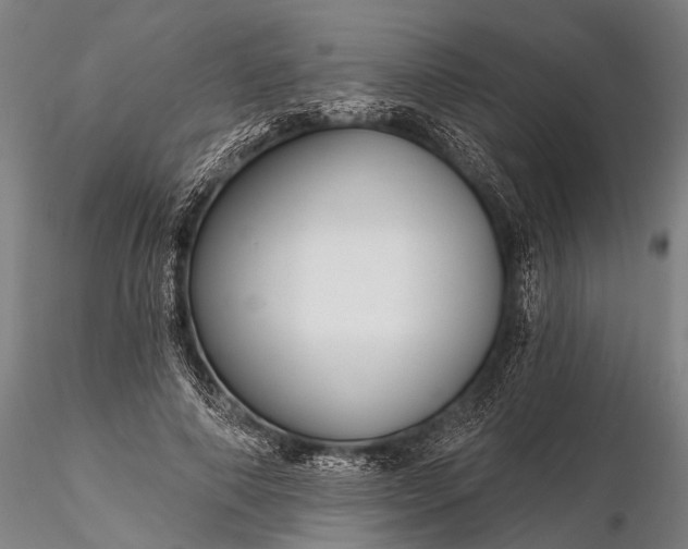 X0000116300690200912141335