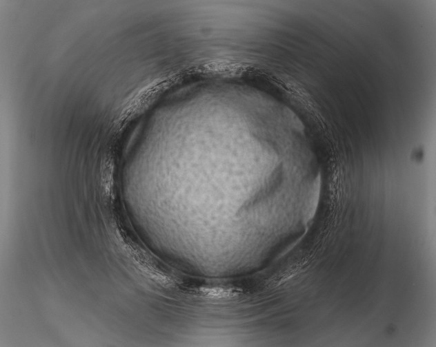 X0000116300693200912141335