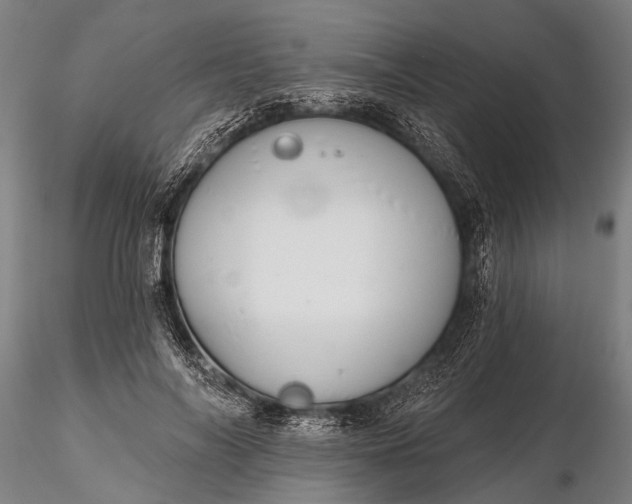 X0000116300694200912141335