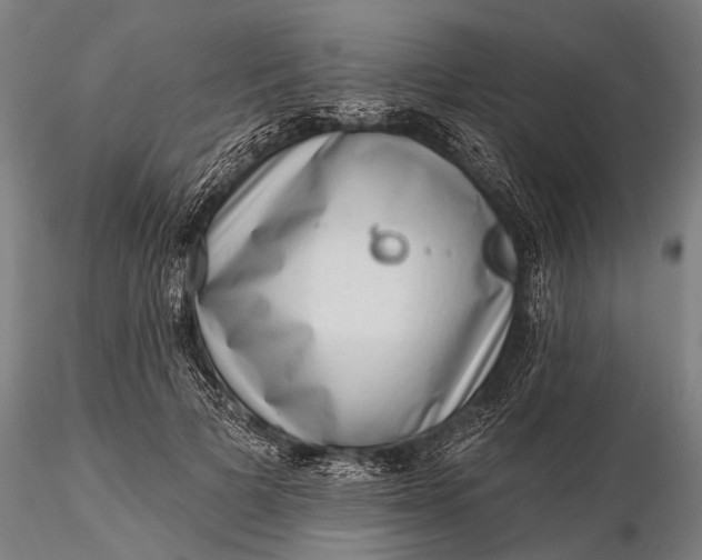 X0000116300697200912141335