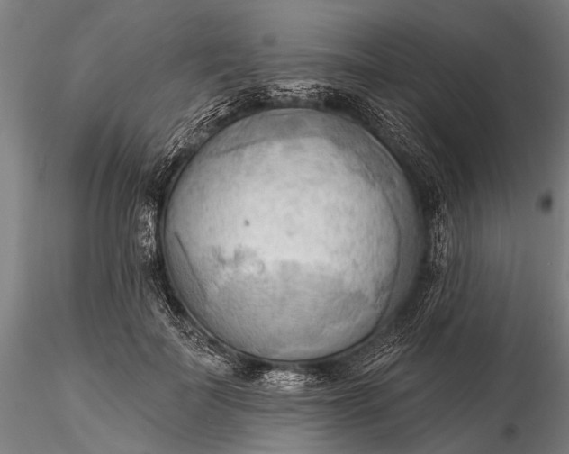 X0000116300699200912141335