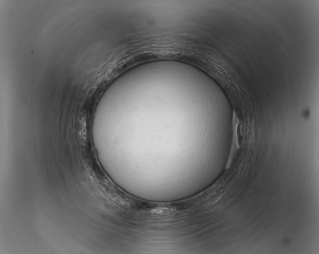 X0000116300700200912141335