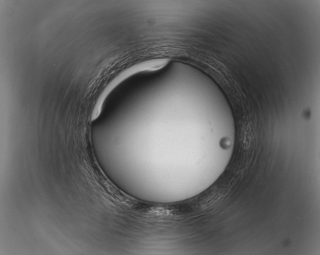 X0000116300701200912141335