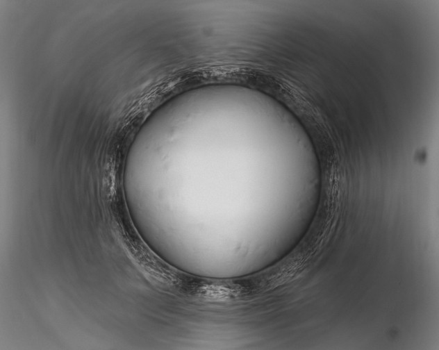 X0000116300703200912141335