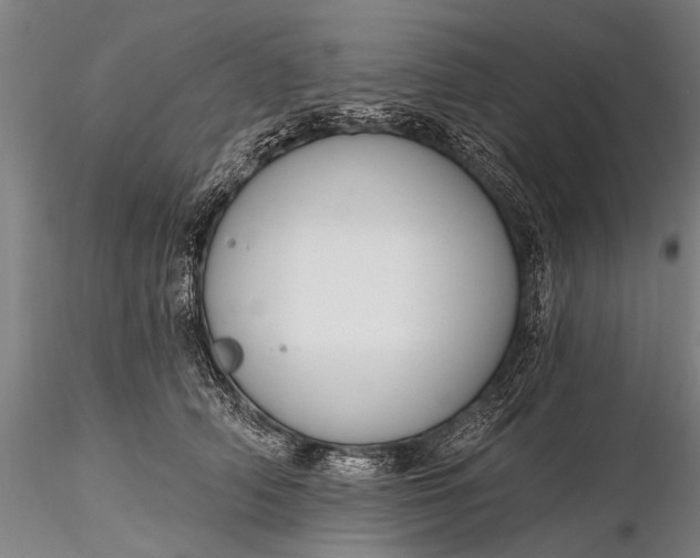 X0000116300706200912141335