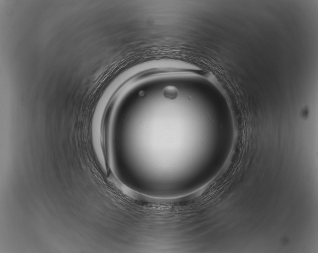 X0000116300709200912141335