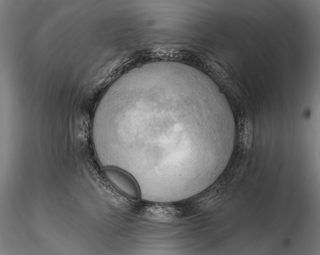 X0000116300712200912141335