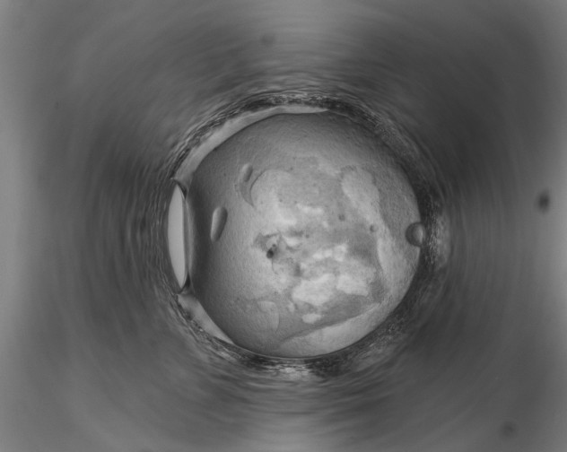 X0000116300715200912141335