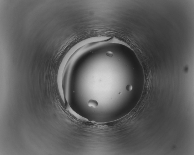 X0000116300716200912141335