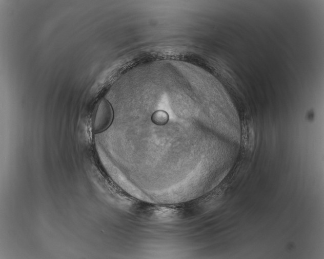 X0000116300718200912141335