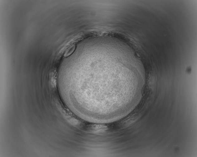 X0000116300719200912141335