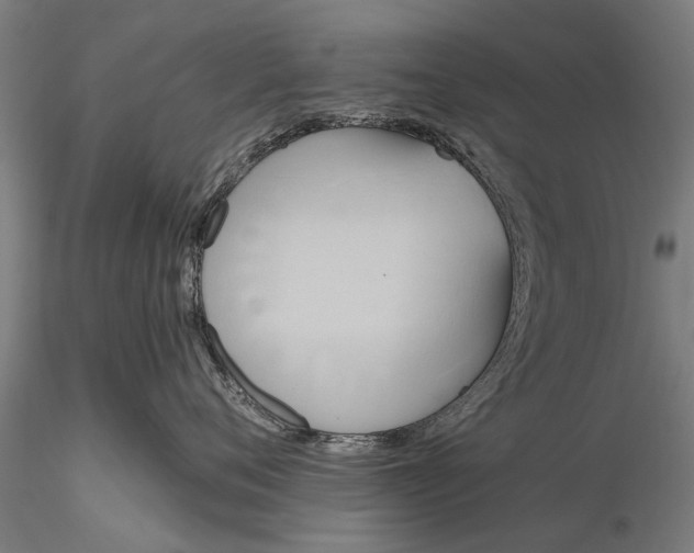 X0000116300720200912141335