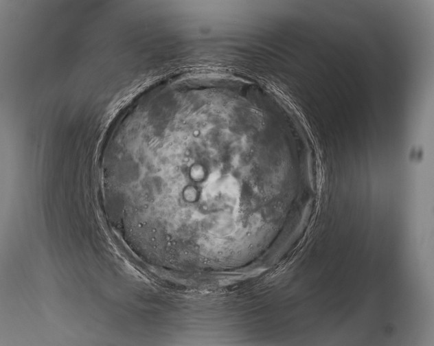 X0000116300721200912141334