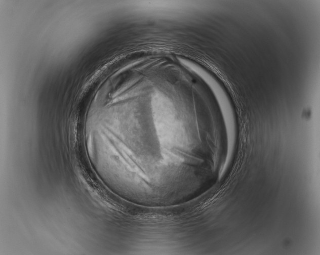 X0000116300722200912141334