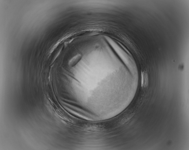 X0000116300723200912141334