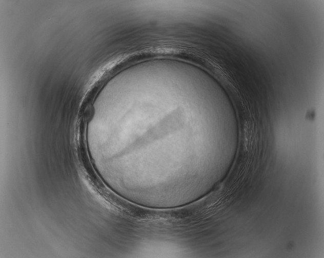 X0000116300726200912141334