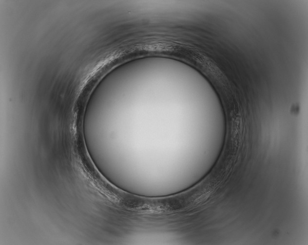 X0000116300727200912141334