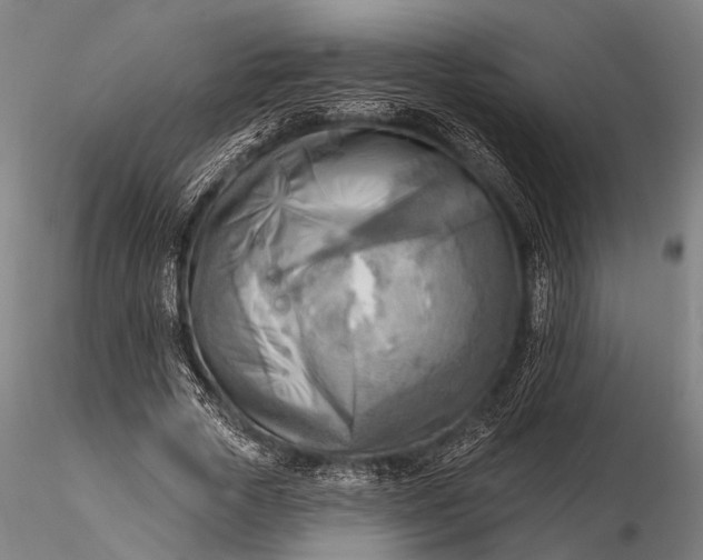 X0000116300729200912141334