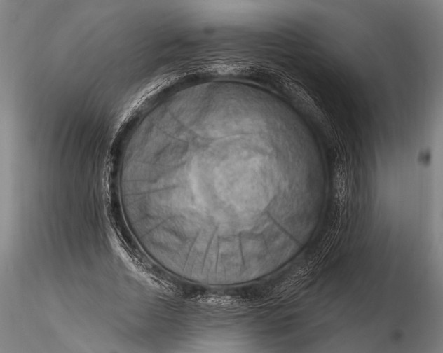 X0000116300730200912141334