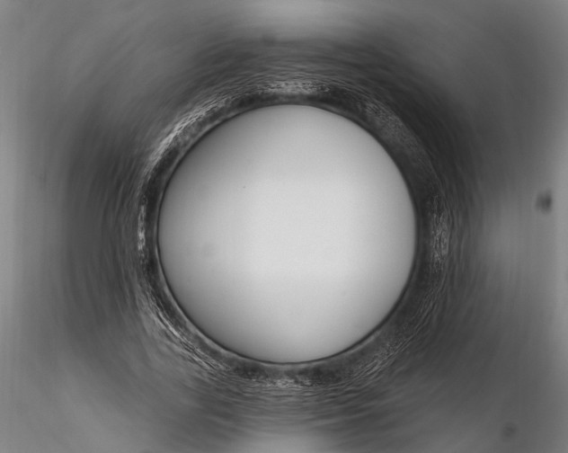 X0000116300731200912141334