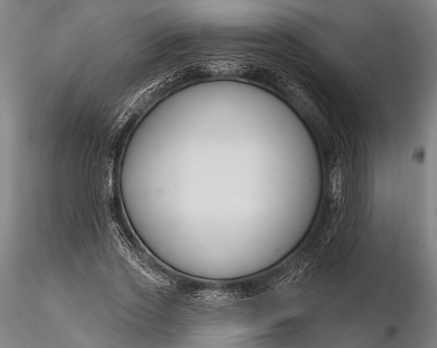 X0000116300733200912141334