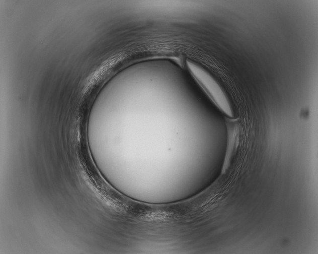 X0000116300734200912141334