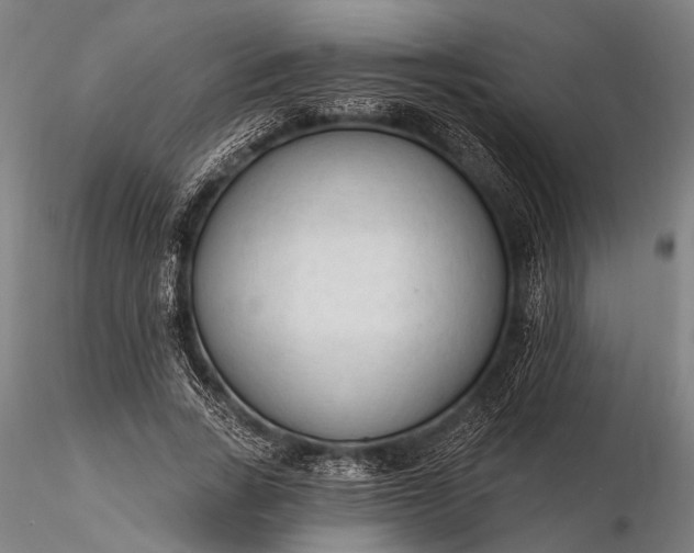 X0000116300735200912141334