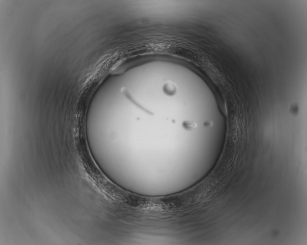 X0000116300738200912141334