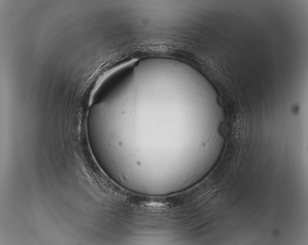 X0000116300739200912141334