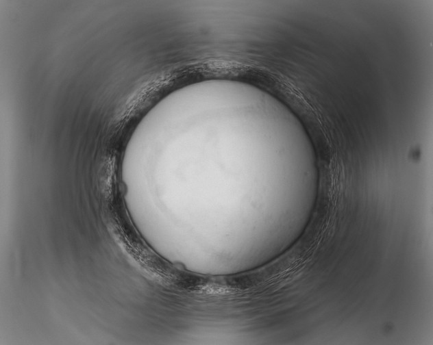 X0000116300742200912141334