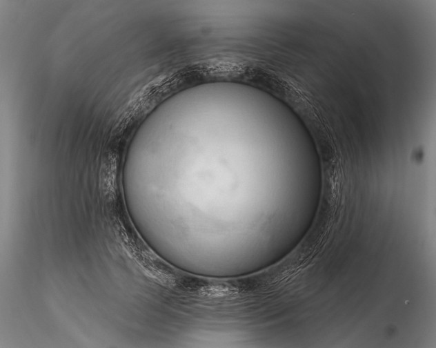 X0000116300745200912141334