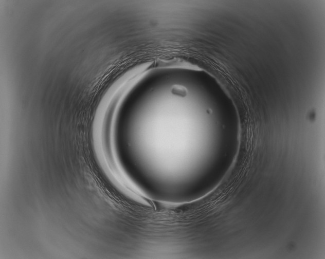 X0000116300750200912141335