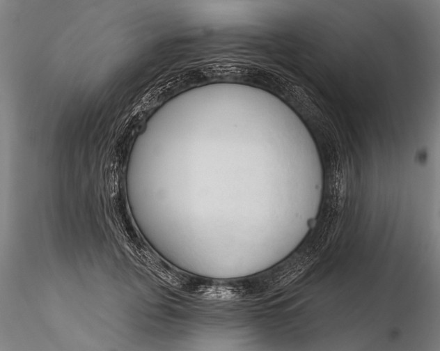 X0000116300751200912141335