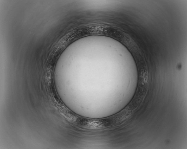 X0000116300753200912141335