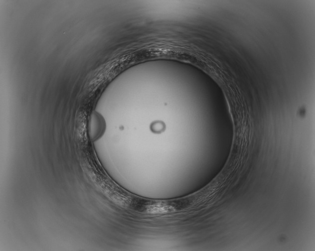 X0000116300754200912141335