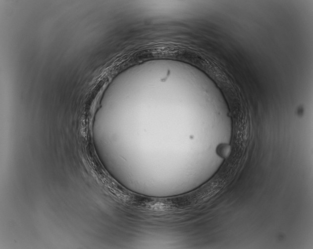 X0000116300755200912141335