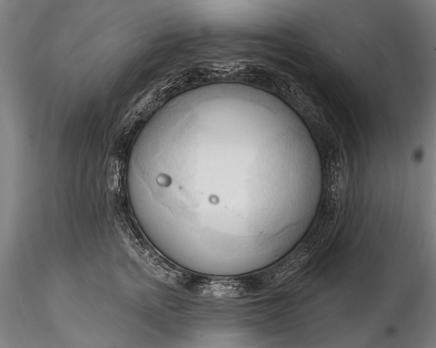 X0000116300758200912141335