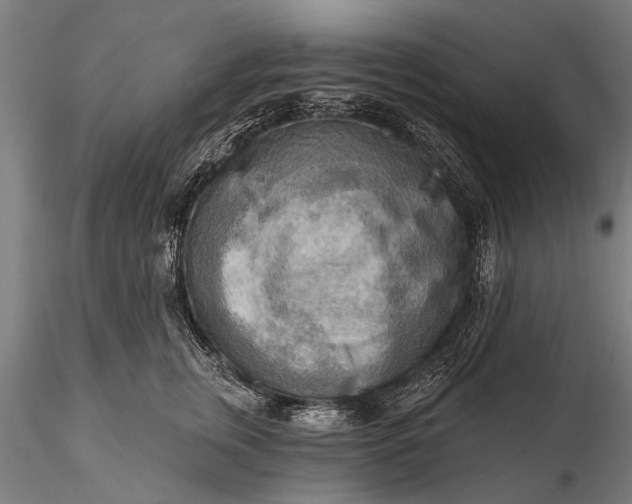 X0000116300759200912141335